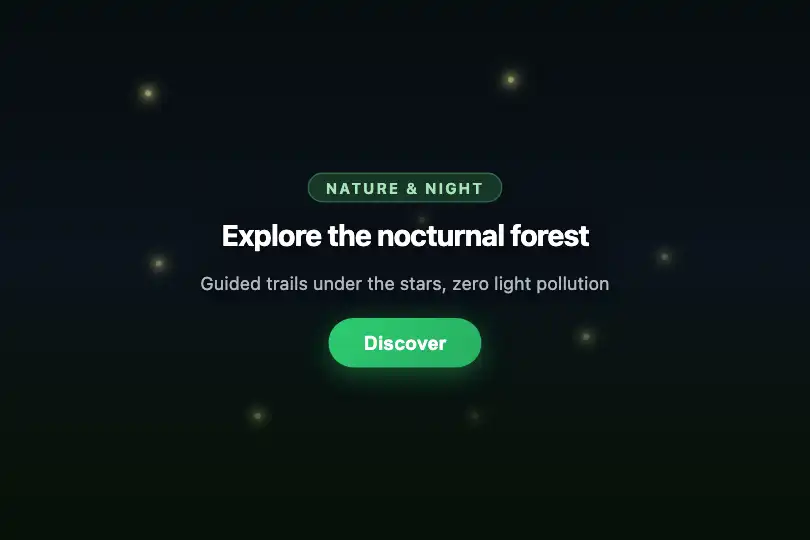 Hero / Landing — Nature or night-sky banner — Fireflies example 1