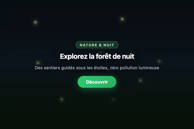 Hero / Landing — Bannière nature ou nocturne — Fireflies exemple 1