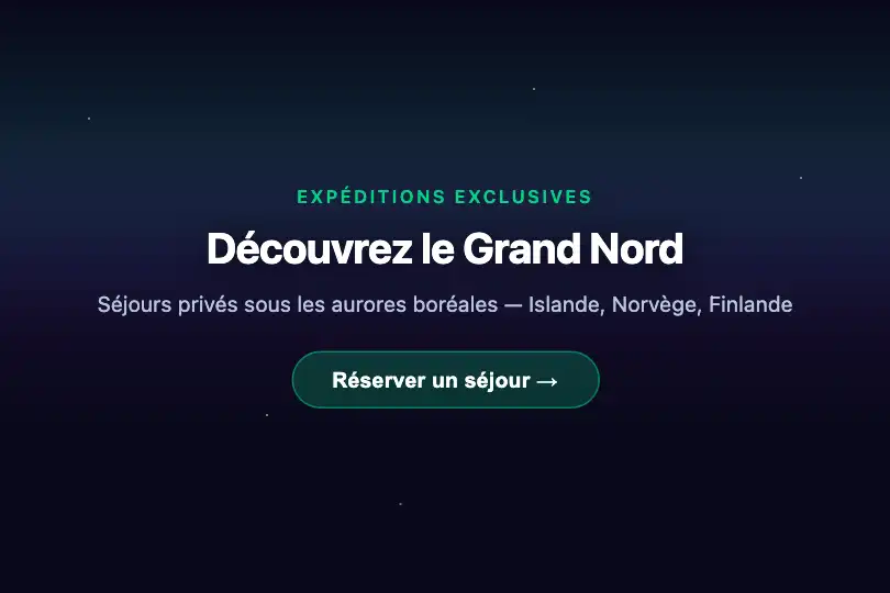 Hero / Landing — Page d'accueil astronomie ou voyage nordique — Northern Lights exemple 1