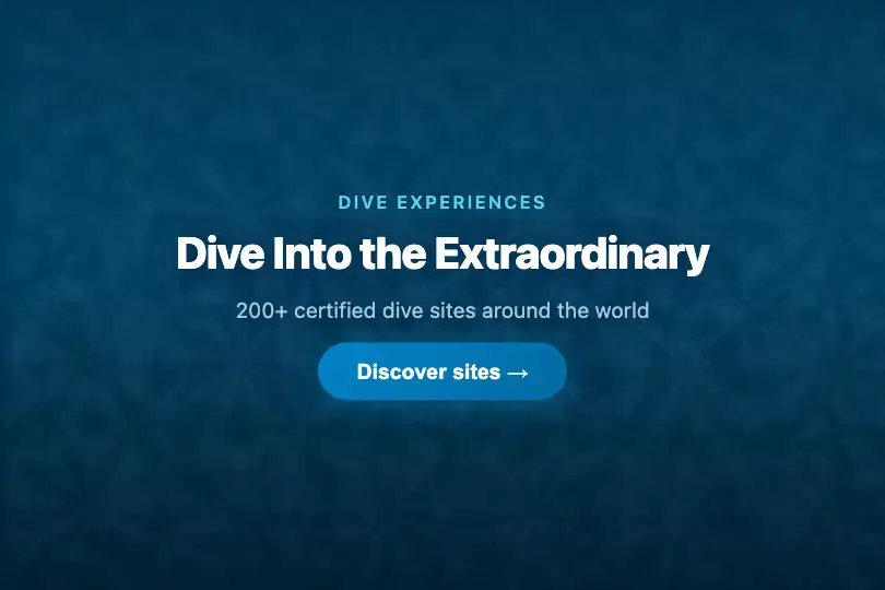 Hero / Landing — Dive booking site — Underwater Caustics example 1