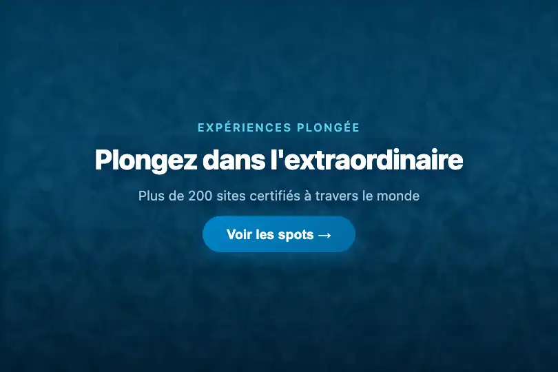 Hero / Landing — Site de réservation plongée — Underwater Caustics exemple 1