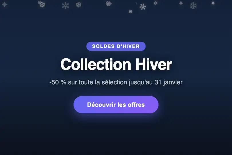 Hero / Landing — Bannière soldes d'hiver e-commerce — Snow Fall exemple 1