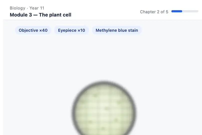Specimen under the microscope — biology module of an online course — Zoom & Blur example 2