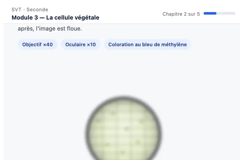Échantillon sous le microscope — module de biologie d'un cours en ligne — Zoom & Blur exemple 2