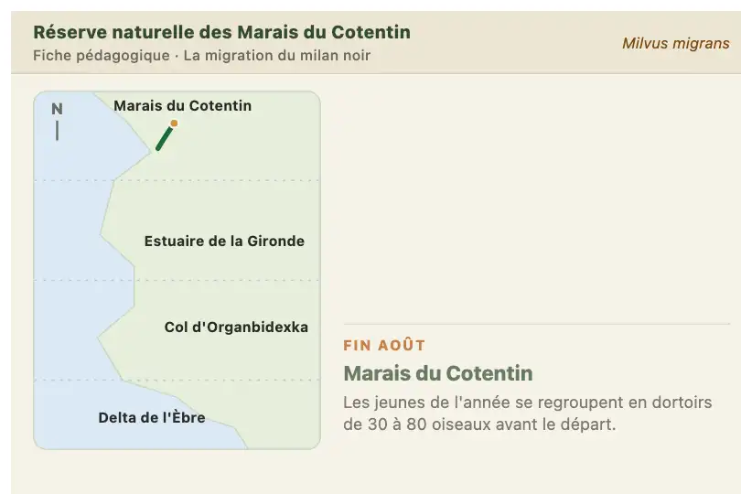 Route de migration d'une espèce d'oiseaux — page pédagogique d'une réserve naturelle — Path Drawing on Scroll exemple 3