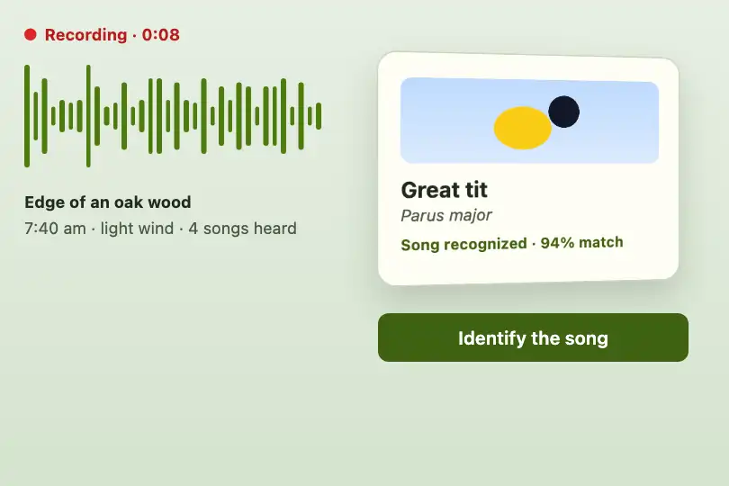 A species identified by its song — a birdwatching app — Flip Card Entry example 3