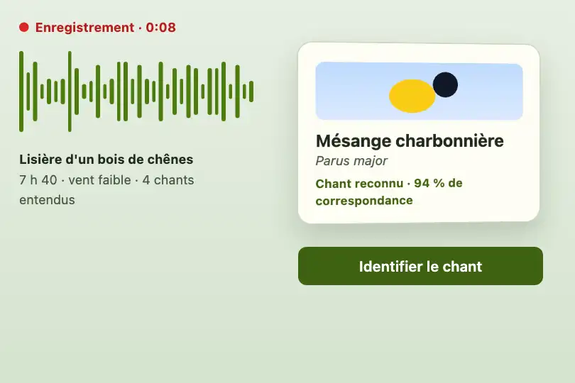 Espèce identifiée au chant — appli d'ornithologie — Flip Card Entry exemple 3