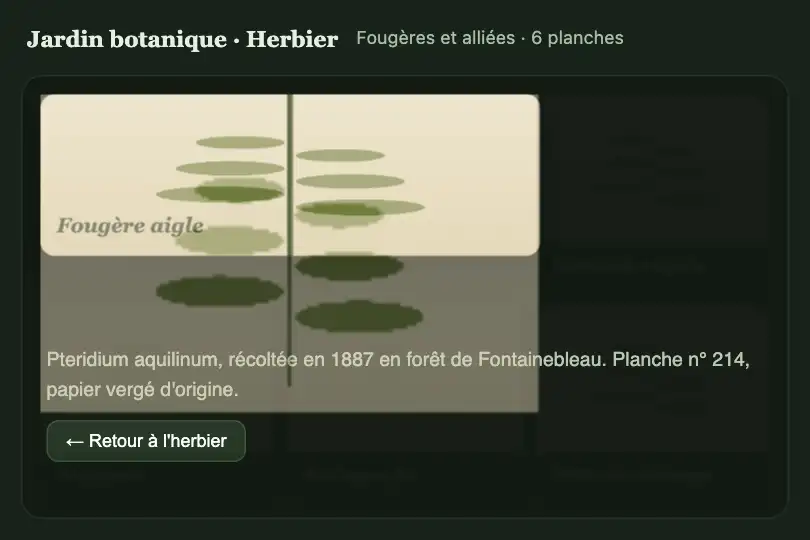 Herbier numérique vers fiche d'une plante — site d'un jardin botanique — View Transitions Page Reveal exemple 3
