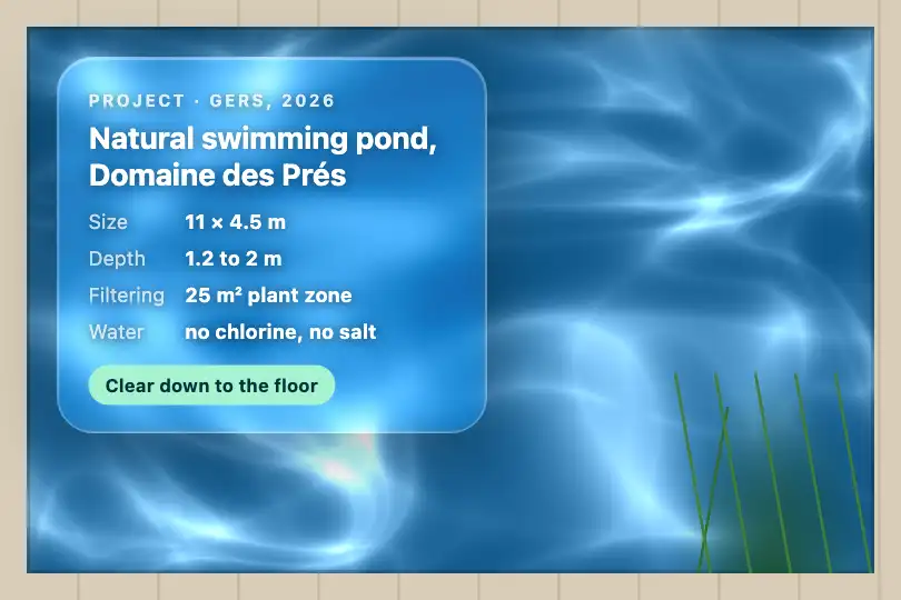A natural swimming pool's project sheet — a pool builder's website — Glass Caustics (WebGL) example 1