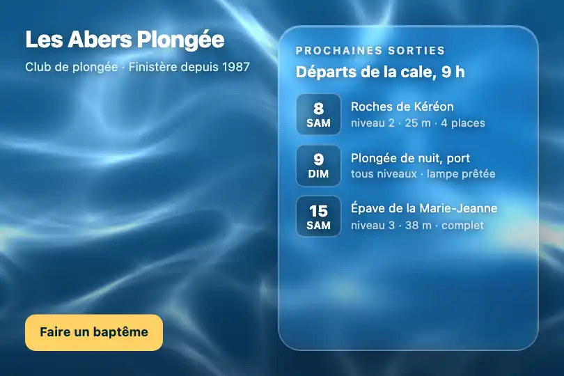 Accueil d'un centre de plongée — site d'un club en Bretagne — Glass Caustics (WebGL) exemple 2