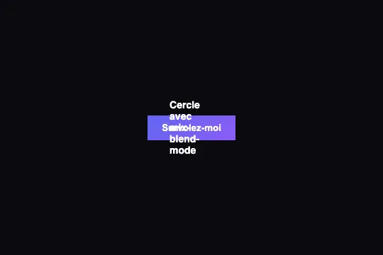 Custom Circle Cursor — aperçu animé
