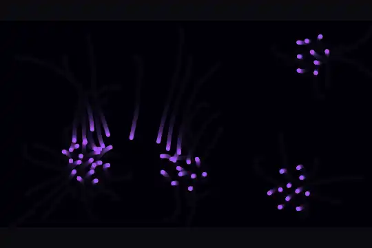 Swarm Intelligence — aperçu